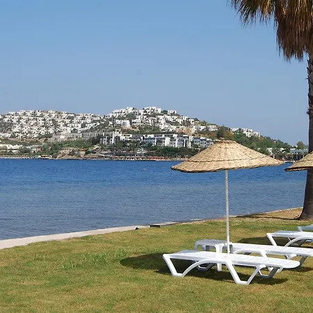 Resort Club Blue White 4*