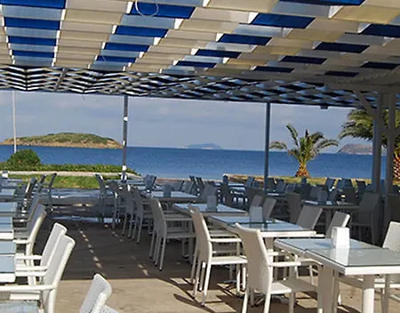 Club Blue White 4* Turgutreis