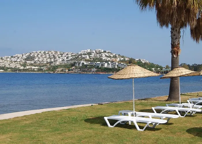 Resort Club Blue White 4*