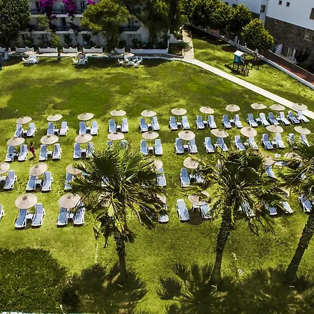 Complex Club Blue White 4*