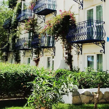 Club Blue White 4*