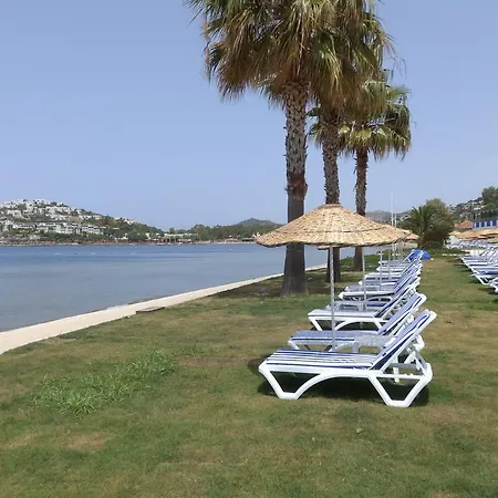 Rezort Club Blue White