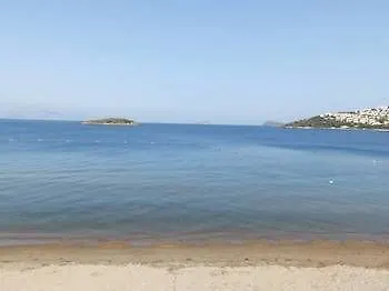 Rezort Club Blue White